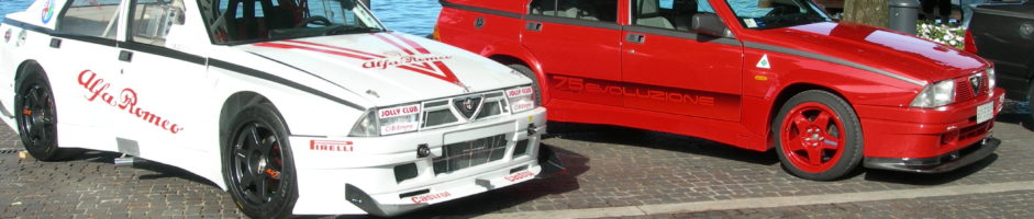 14esimo raduno ALFA-LANCIA.   Città di Bardolino – Lago di Garda